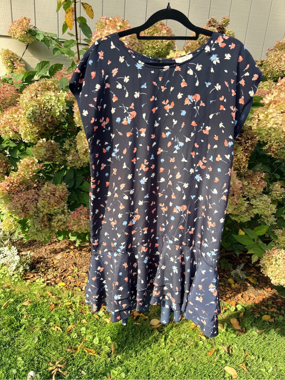 Joie Navy Floral Cap-Sleeve Drop-Waist Dress